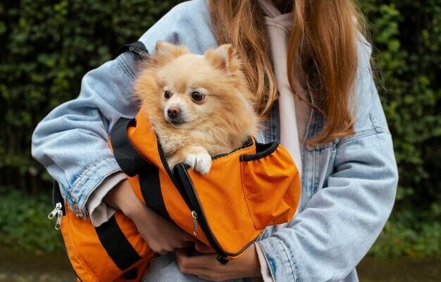 Dog Carrier for Small Dogs