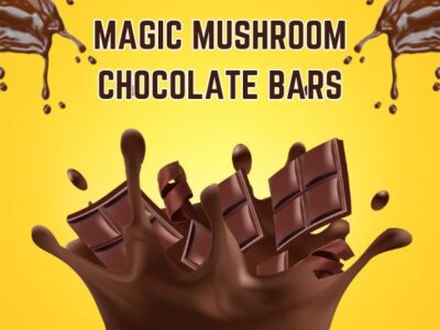 magic mushroom chocolate bars