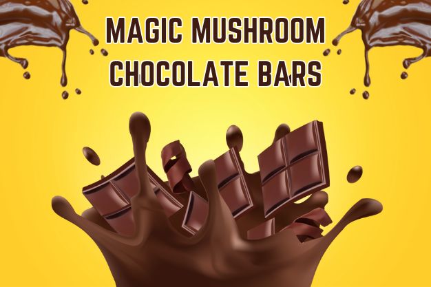 magic mushroom chocolate bars