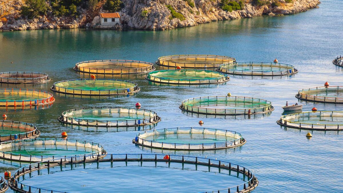 Sustainable Aquaculture