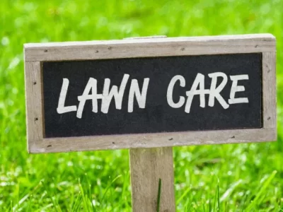 lawn care