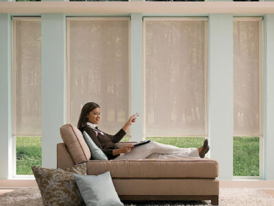 guide to motorized blinds