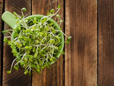 consumed sprouts – they are delicious, easy to grow, inexpensive, ... 14
