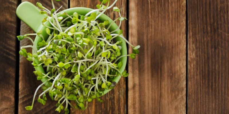 consumed sprouts – they are delicious, easy to grow, inexpensive, ... 14