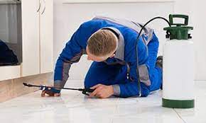 fumigation services in Islamabad