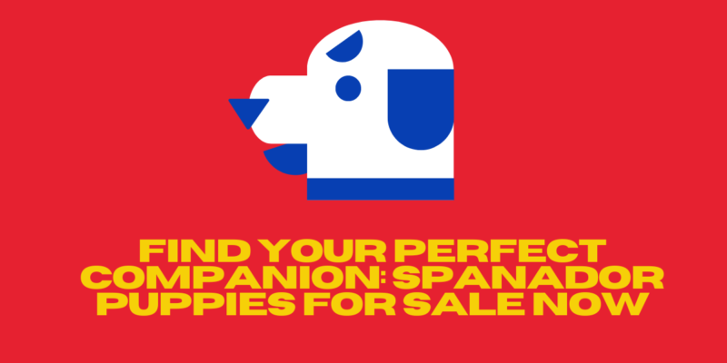 spanador for sale