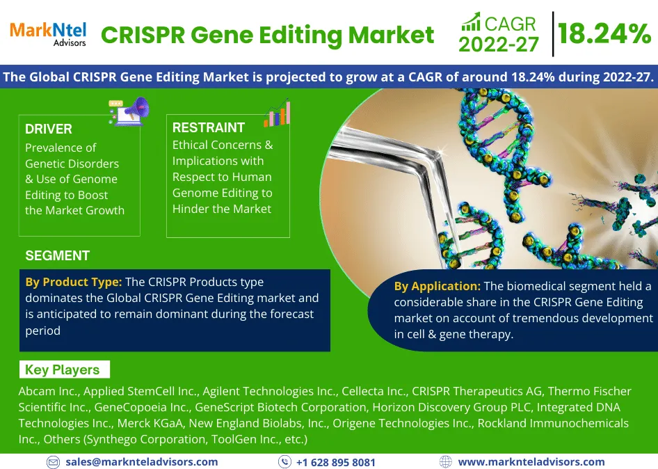 CRISPR Gene Editing Market