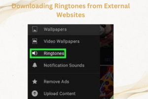 Downloading Ringtones from External Websites 