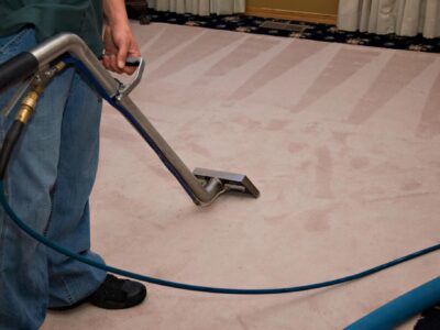 How to Clean Your Carpets Without Chemicals