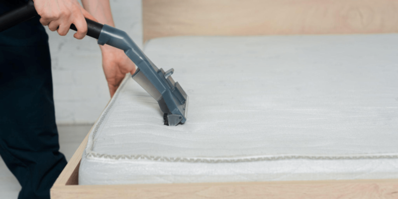 A Deep Dive into Controversial Approaches to Upholstery Cleaning in Sydney