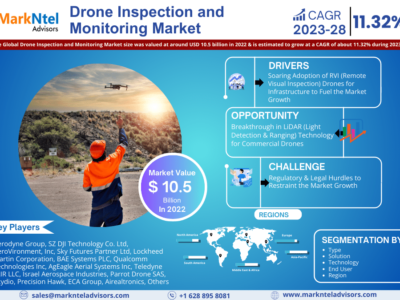Drone Inspection and Monitoring market