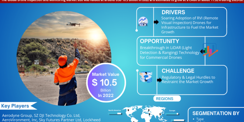 Drone Inspection and Monitoring market