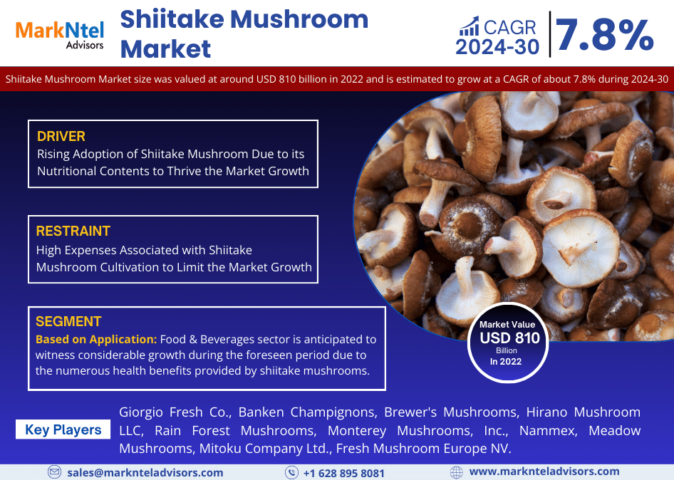 Global Shiitake Mushroom Market