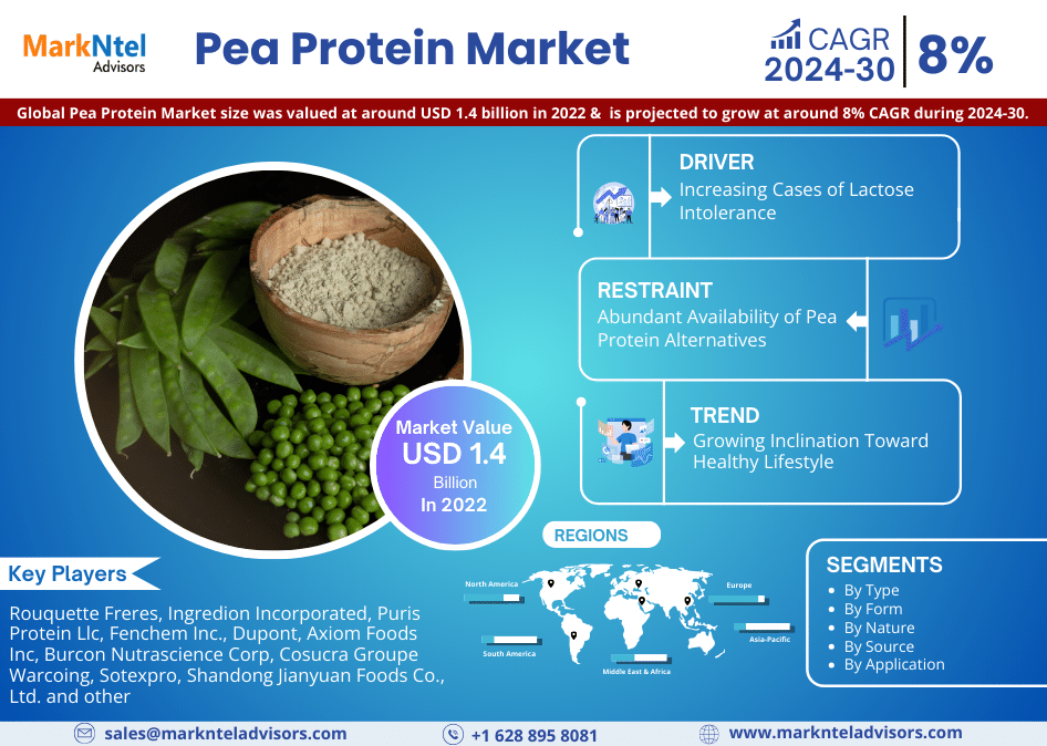 Pea Protein Market