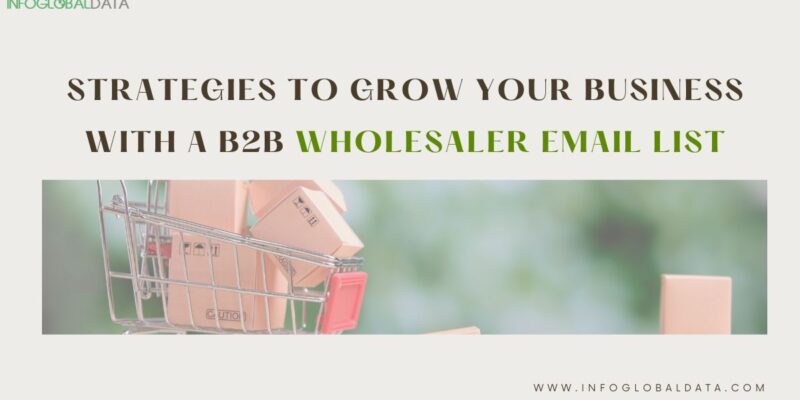 Strategies to Grow Your Business with a B2B Wholesaler Email List