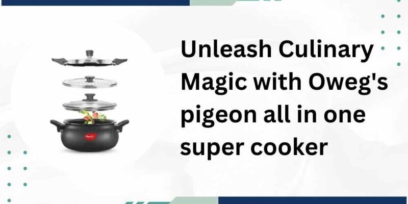 Unleash Culinary Magic with Oweg's pigeon all in one super cooker