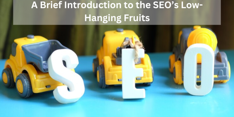 A Brief Introduction to the SEO’s Low-Hanging Fruits