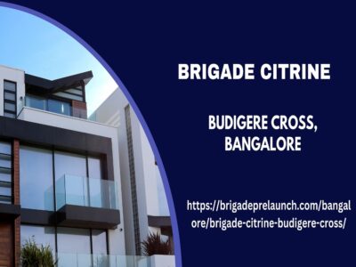 Brigade Citrine