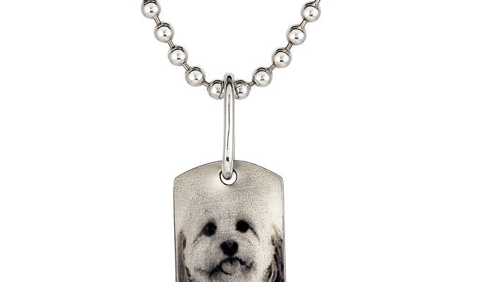 Pocket dog tag