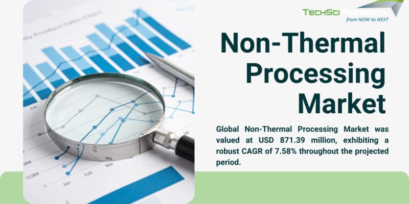 Non-Thermal Processing Market