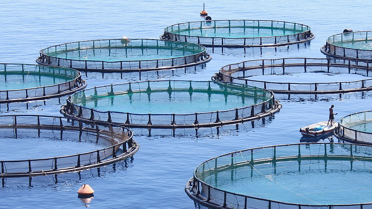 Sustainable Aquaculture