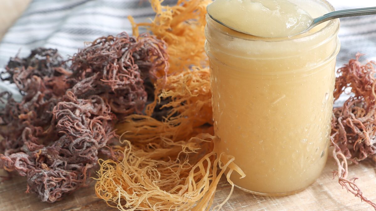 sea moss australia