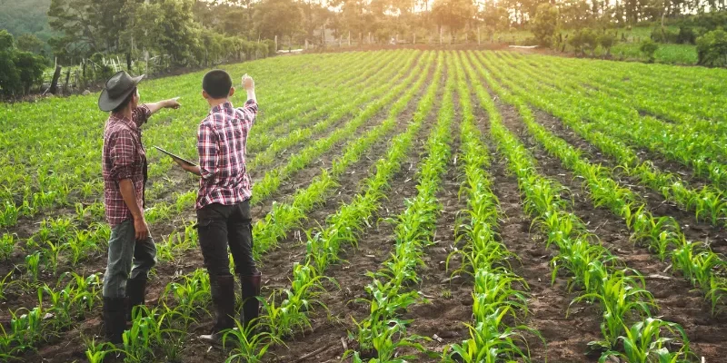 Embracing Sustainable Agriculture Practices in India's Farming Future