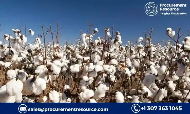 Cotton Lint Production Cost