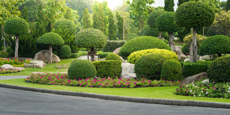 landscaping contractors