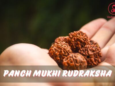 Panch Mukhi Rudraksha