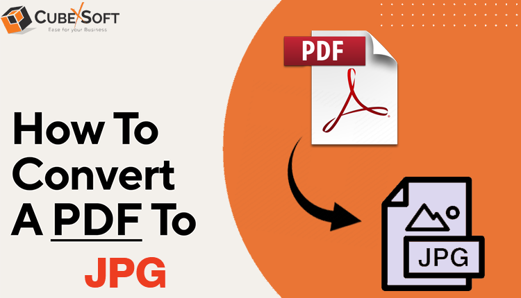 pdf to jpg converter