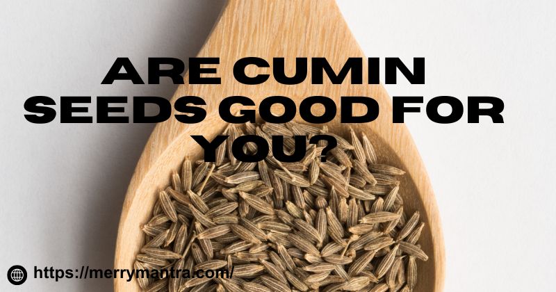ARE Cumin Seeds Good For You?