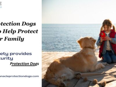 family protection dogs