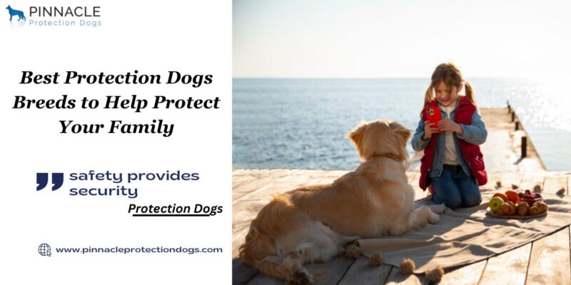 family protection dogs