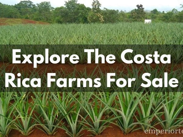 Costa Rica Farms For Sale