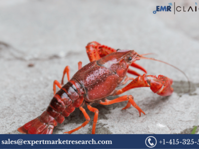 United States Crayfish Market