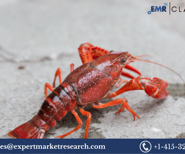 United States Crayfish Market