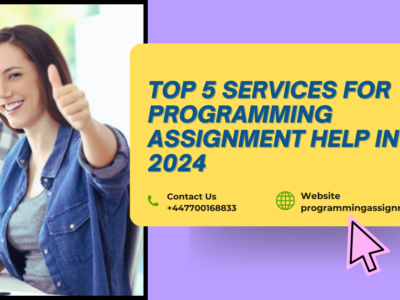 Programming Assignment Help