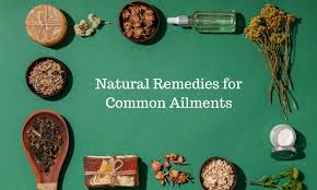 Herbal Medicine: Natural Remedies for Common Ailments - Punarjan Ayurveda