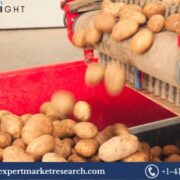 North America Potato Processing Market