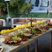 Party catering services