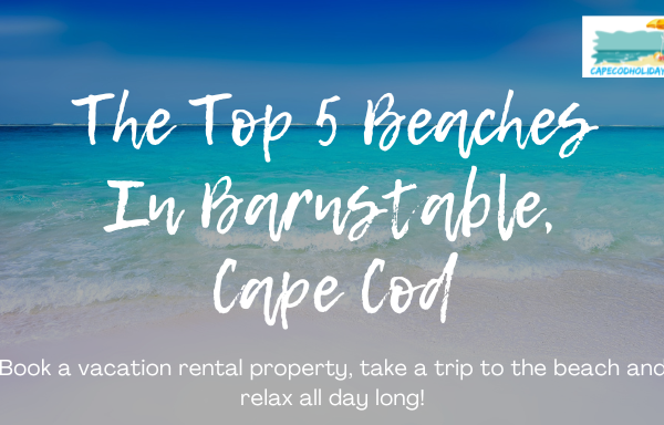 The Top 5 Beaches In Barnstable, Cape Cod