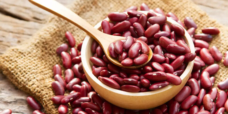 The Anti-inflammatory Benefits of Rajma - Punarjan Ayurveda