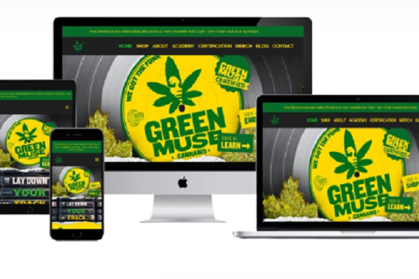 cannabis graphic design and branding agency