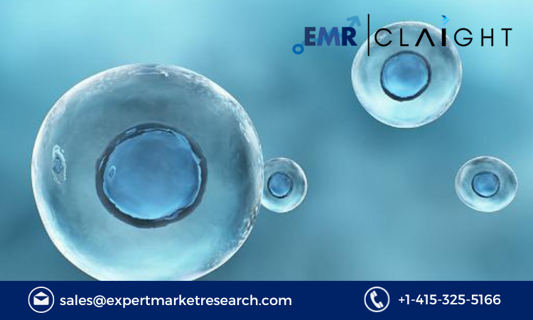 North America Protein Expression Market