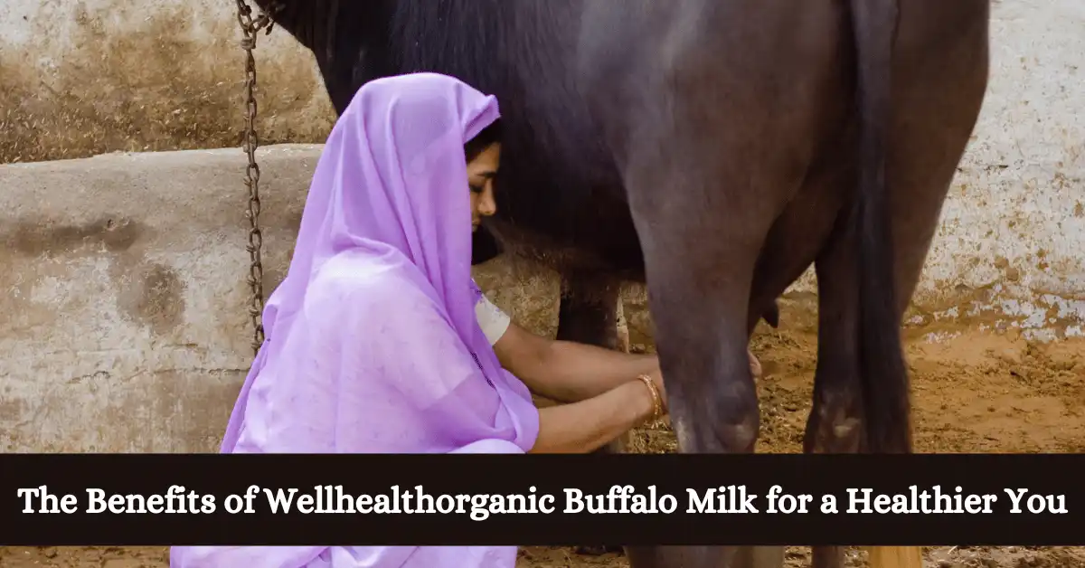 The Benefits of Wellhealthorganic Buffalo Milk for a Healthier You