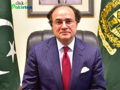 Finance minister of pakistan