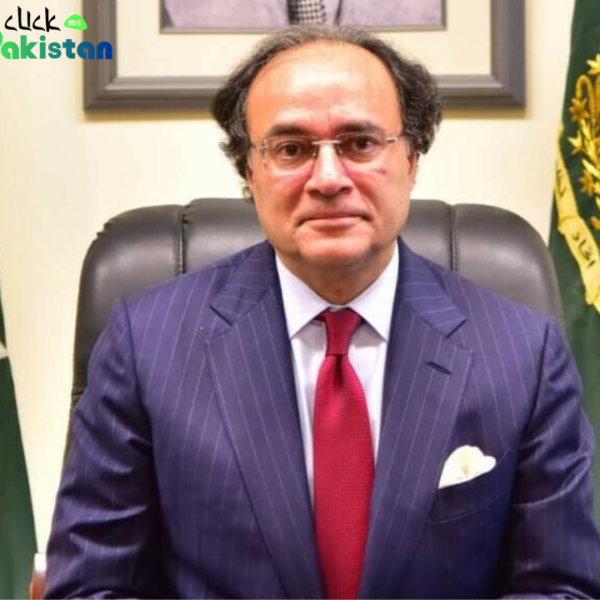 Finance minister of pakistan