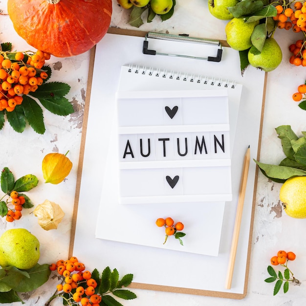 Autumn Calabrese Gut Programme