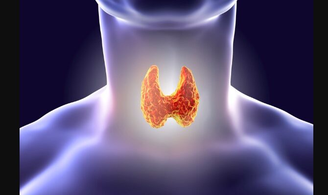 desiccated thyroid